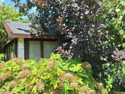 odstąpię prawo dzierżawy działki ROD