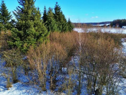Działka rolno-budowlana Kajetanówka gm. Urzędów