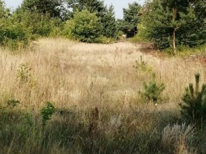 Działka rolna-budowlana