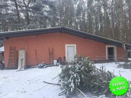 Działka leśna Kopana gm. Tarczyn