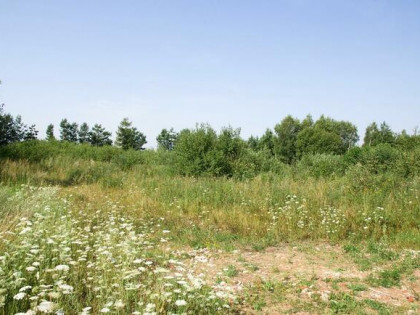 Sprzedam działkę w Przyjaźni koło Gdańska