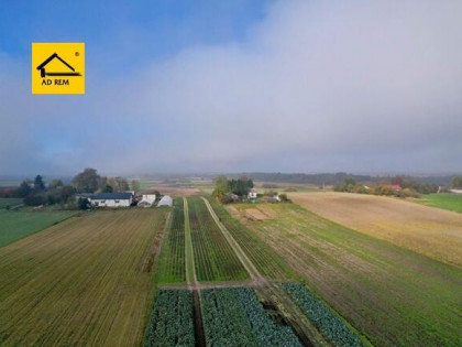 Działka budowlana Zezulin Niższy gm. Ludwin, Zezulin