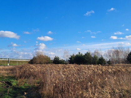 Przetarg - obręb 0007 Emów