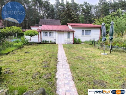 Cicha działka z domkiem w otulinie lasu koło rzeki