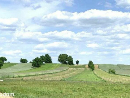 Zamieszkaj na wsi nad Bugiem niedaleko `Wawy
