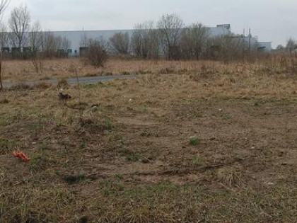 Rzgów Plan Zagospodarowania Przestrzennego AUP