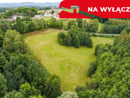 Działka Rolno-Budowlana | Wola Lubecka | Okazja