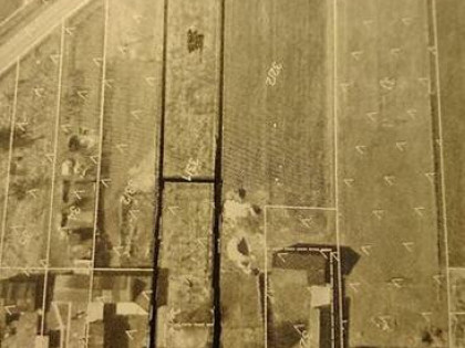 Działka i budynek gospodarczy 3000m2 Redzeń Nowy gm Koluszki