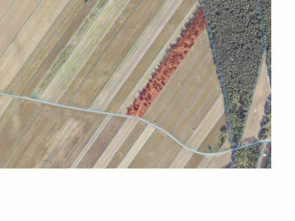 Sprzedam działkę Kraśnica gm. Golina