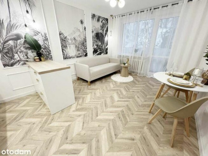 SASKA KĘPA, LUX 3 POKOJE, BEZPOŚREDNIO!