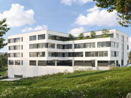 Lokal użytkowy Lublin Czechów, Związkowa