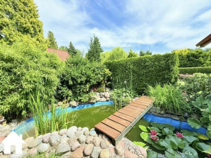 Janowo | zadbana | w cichym miejscu na uboczu | działka ROD /