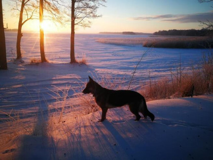 Dom nad jeziorem z własnym brzegiem i pomostem