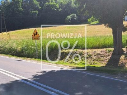 Na sprzedaż działka w Zdoni koło Zakliczyna 22 ar