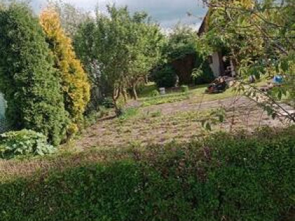 Działka rekreacyjna ROD Związkowiec