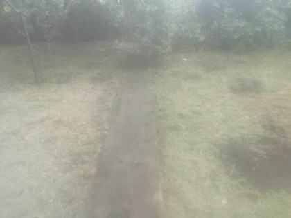 DZIAŁKA ROD do oddania