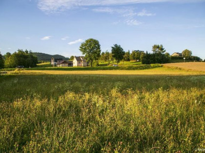 Działka budowlana- Siemiechów- Małopolska