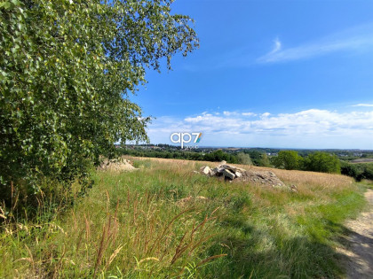 Działka Bodzanów