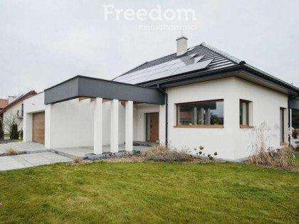 Dzień pokazowy w sobotę  24 stycznie godz 11-13