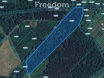 Działka leśna Las na sprzedaż Pilchowice