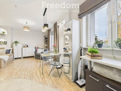 Atrakcyjne mieszkanie przy parku w centrum miasta.