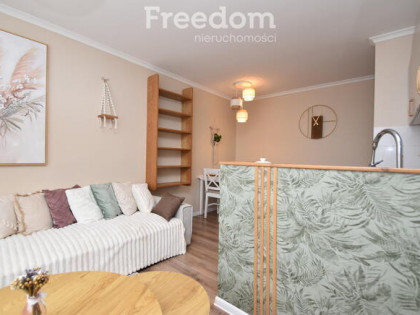 Przytulne dwupokojowe mieszkanie na Wynajem Knurów