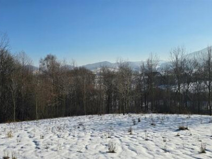 Działka budowlana Wola Skrzydlańska gm. Dobra