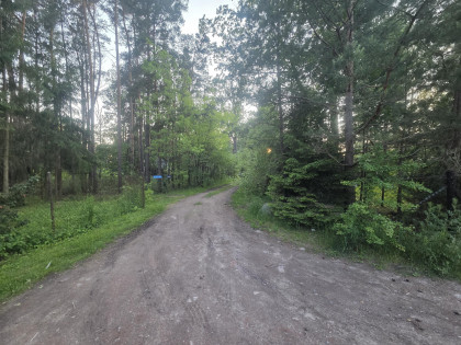 Działka Dziechciniec