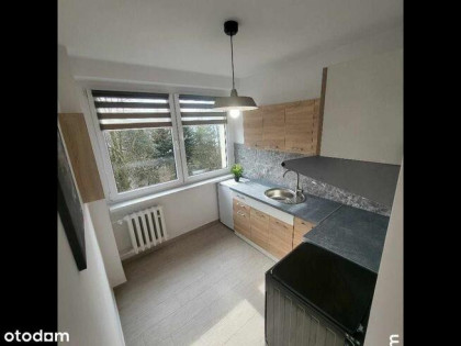 Piękna kawalerka, mieszkanie do wynajęcia