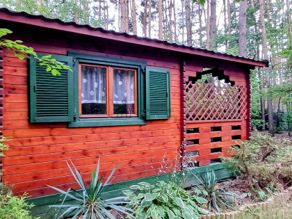 Działka Włodzimierz