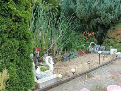 Działka niedaleko Łodzi