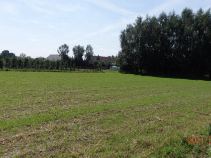 Świecie-Działka budowl inwest w Głogówku z Warunkami Zabudow