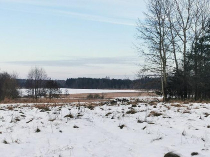 Na sprzedaż działki budowlane – Bukowina Sycowska | MPZP