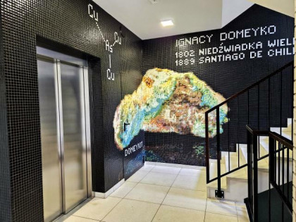 Lokal użytkowy Warszawa Praga-Południe, Gocławek, Ignacego Domeyki