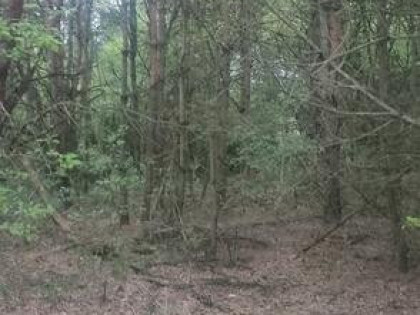 Sprzedam działki budowlane