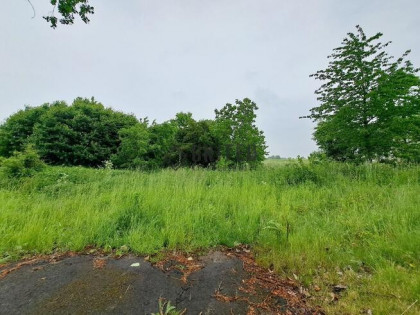 Działka w Kostomłotach niedaleko Środy Śląskiej