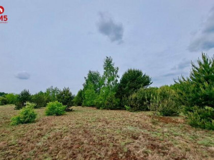 Działka rolna Lipków gm. Stare Babice