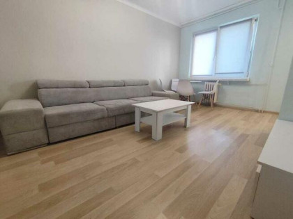 Na wynajem mieszkanie dwupokojowe.