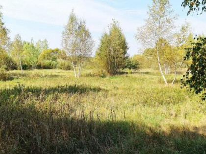 Działka rolno-budowlana Białystok gm. Supraśl Ciasne