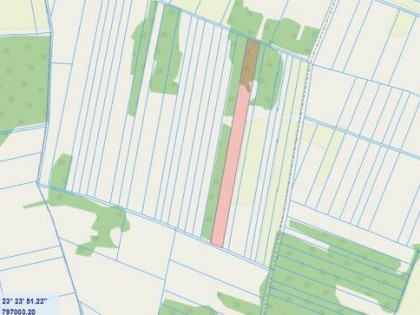 Działka rolna Morze gm. Czyże