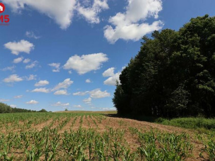 Działka budowlana Rożyńsk Wielki gm. Prostki