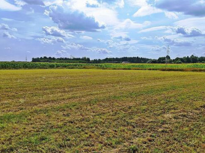 Działka rolno-budowlana Folwarki Wielkie gm. Zabłudów