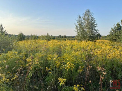 Działka rolna Morze gm. Czyże