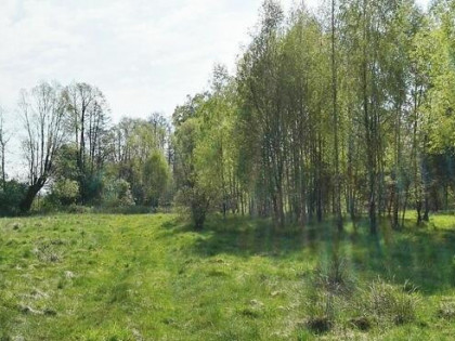 Działka siedliskowa Łubniki gm. Zabłudów
