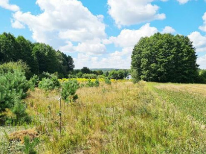 Działka budowlana Wólka Poduchowna gm. Wasilków