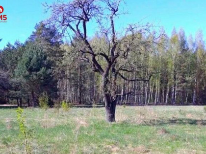 Działka rolno-budowlana Pieńki gm. Michałowo