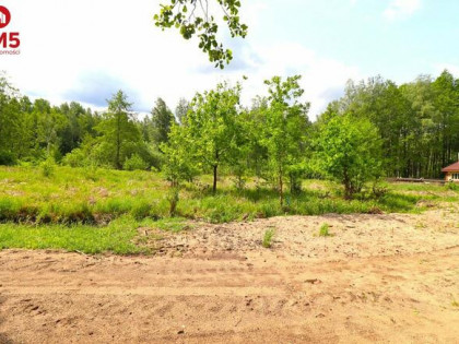 Działka budowlana Płaska Zaciszna