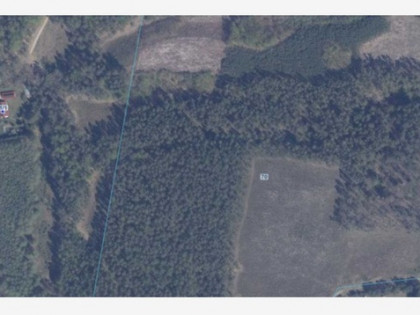 Działka Jasień Jasień