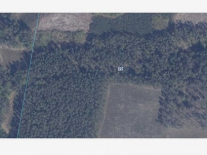 Działka Jasień Jasień