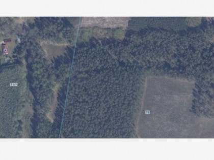 Działka Jasień Jasień